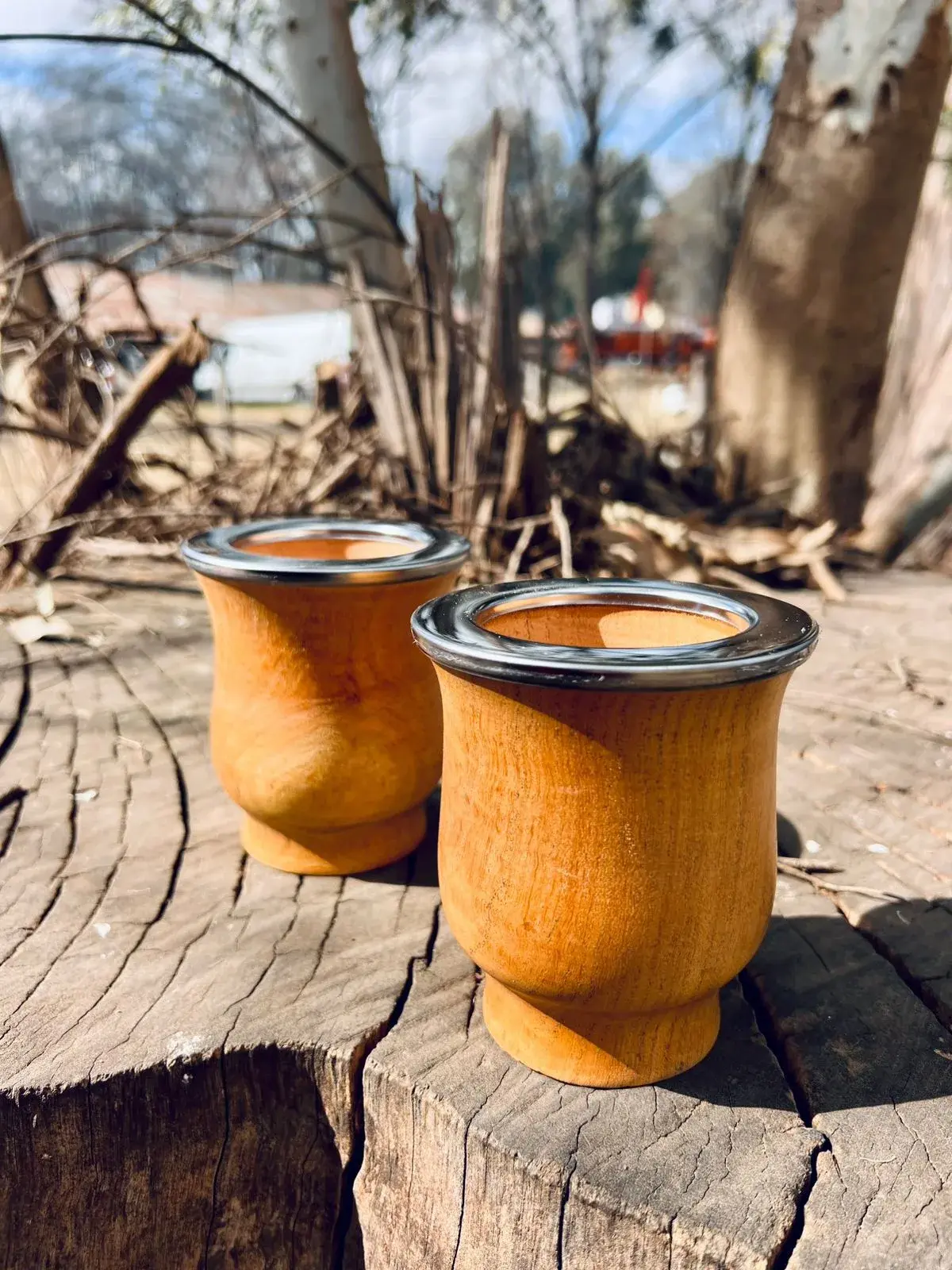 mates de algarrobo